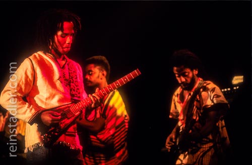  Ziggy Marley and the Wailers – Live-Konzert-Fotografie